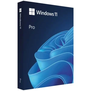 Microsoft Windows 11 PRO