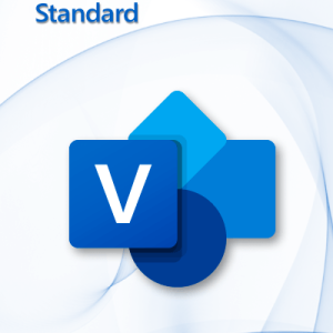 Microsoft Visio 2021 Standard
