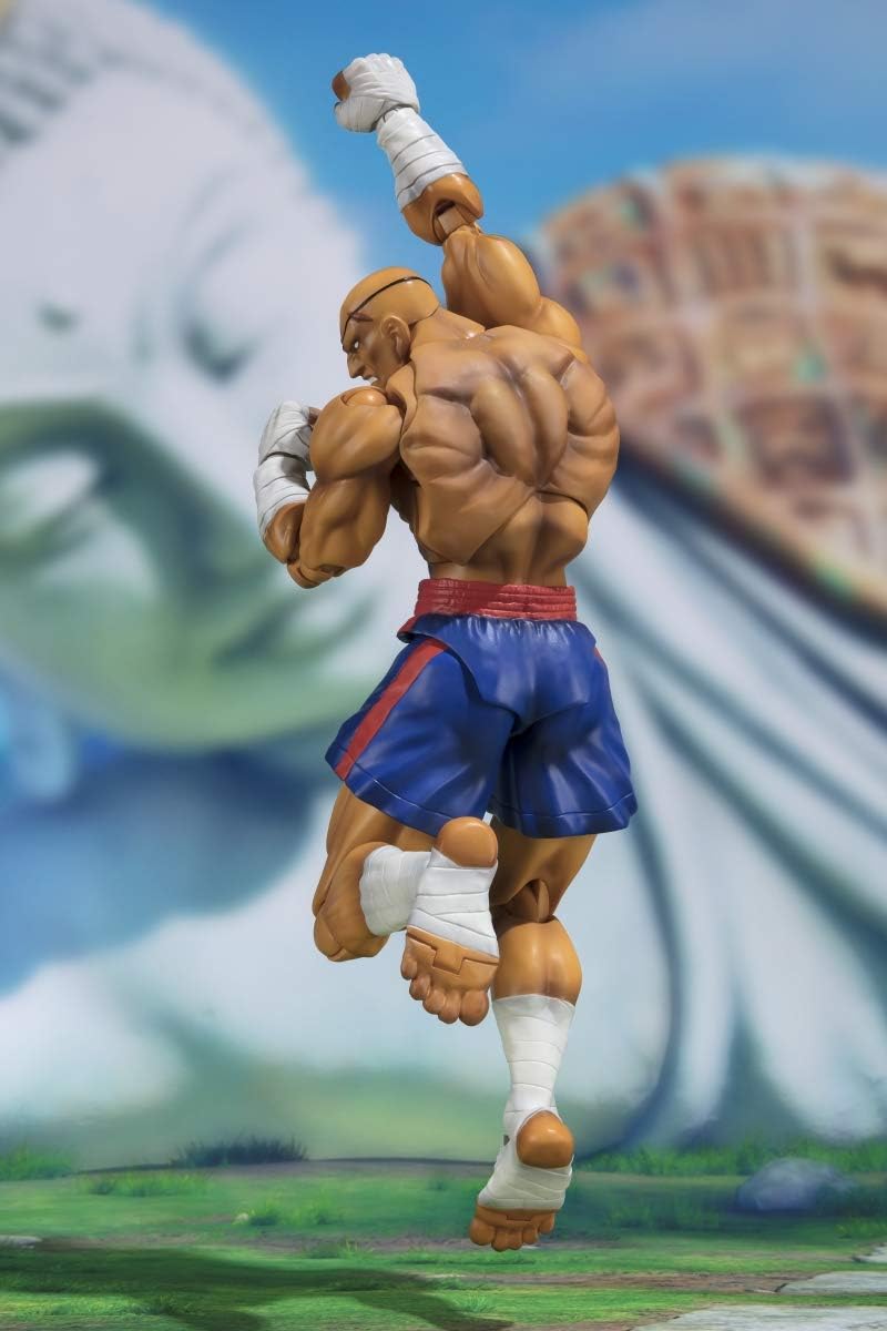 SAGAT - Image 3