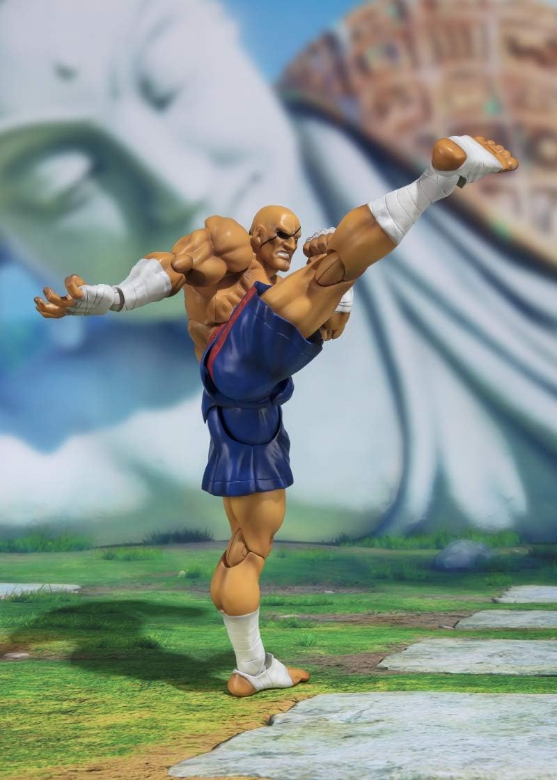 SAGAT - Image 4